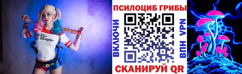 Псилоцибиновые грибы Cubensis Печоры